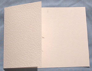 Step 12 fold the lefthand panel across